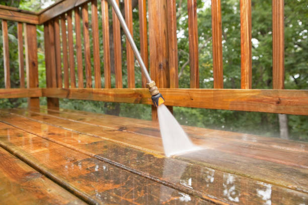 Best Boat and Dock Cleaning  in Burgin, KY